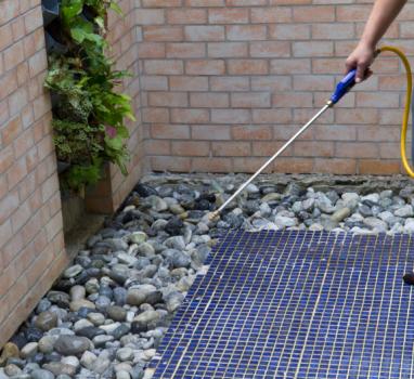 Image for Solve Pest Pros with ID of: 5695369