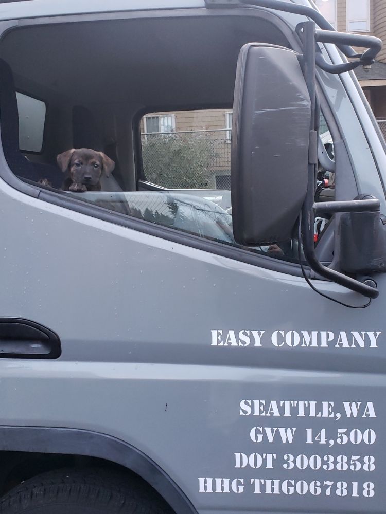 Image for Easy Company Moving with ID of: 5696002