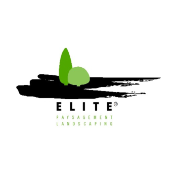 Image for Elite Pools with ID of: 6485534