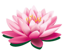 Image for For a New You with ID of: 6486678
