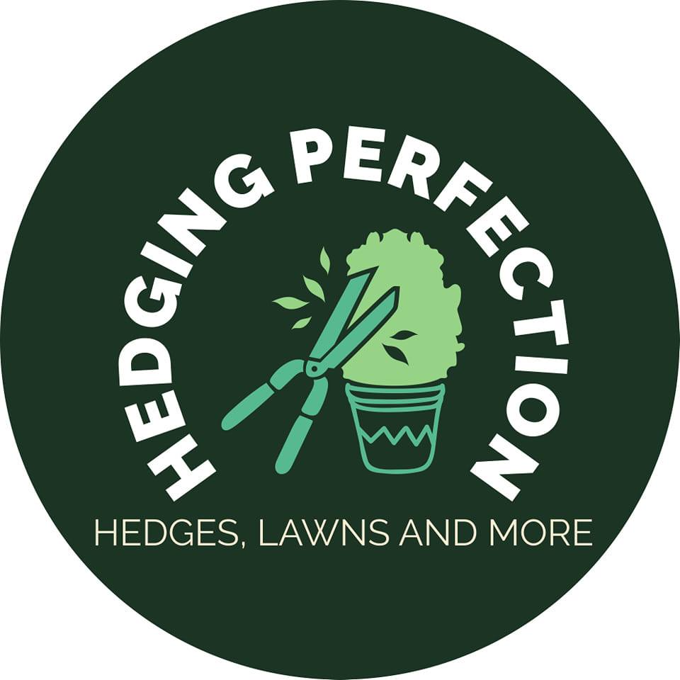 Image for Hedging Perfection with ID of: 6489553