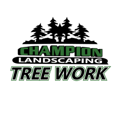 Image for Champion Tree Work with ID of: 6489991