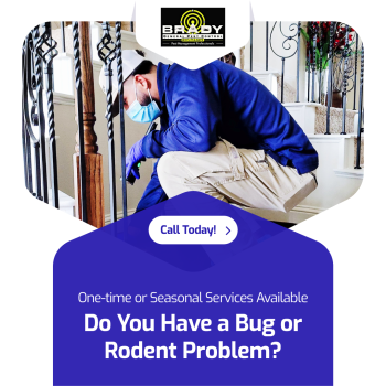 Image for Brady Pest Control with ID of: 5704446