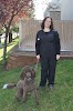 Image for Convenience Pet Hospitals with ID of: 5704839
