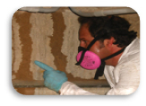 Image for Guarantee Floridian Pest Control with ID of: 649036