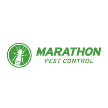Image for Marathon Pest Control with ID of: 6490403