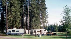 Image for Big Tree RV Park with ID of: 649274