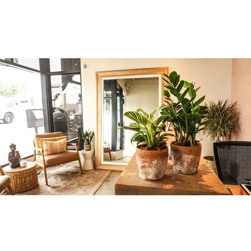 Image for Self Care LA with ID of: 5711195