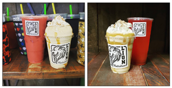 Image for Lion Nutrition with ID of: 4938765