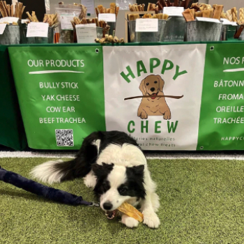 Image for Happy Chew with ID of: 5711511