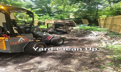 Image for Dump My Junk LLC with ID of: 5715268