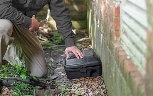 Image for L-N-L Pest Management with ID of: 5715309