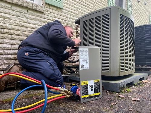 Image for Polar Bear Heating & Air with ID of: 5716236
