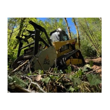 Image for Paradise Land Solutions LLC with ID of: 5718392