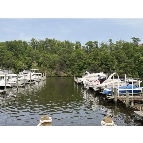 Image for The Harbour Grille with ID of: 5721367