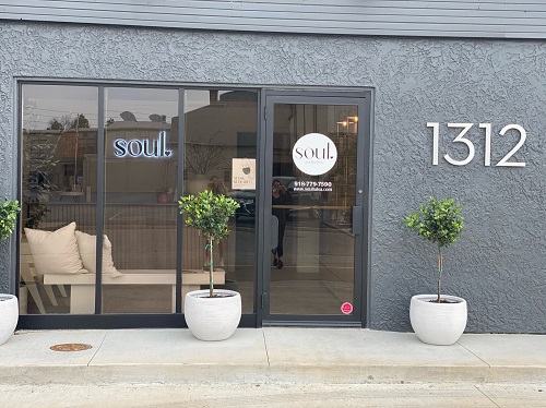 Image for Soul Aesthetics with ID of: 5724339
