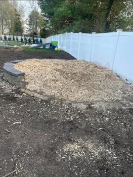 Image for Gorilla Stump Grinding with ID of: 5724486
