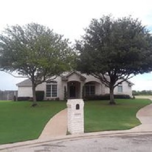 Image for Jaimes Tree Service with ID of: 5724493