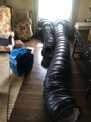 Image for Bed Bug Barbeque, LLC with ID of: 5725031