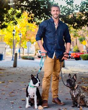 Image for Bolt Dog Training with ID of: 5729219