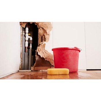 Image for Boise Water Damage Professionals with ID of: 5729300