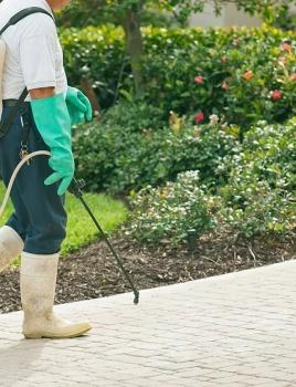 Image for First Solutions Pest & Home Services with ID of: 5733271