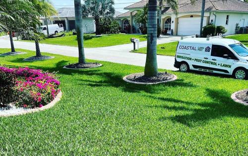 Image for Coastal Lawn and Pest with ID of: 5736776