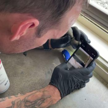 Image for Commercial Pest Control Brisbane with ID of: 5740586
