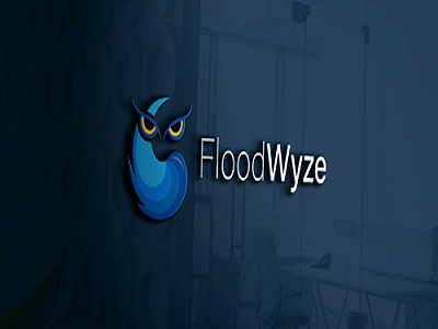 Image for FloodWyze with ID of: 5743655