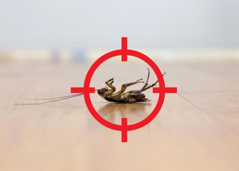Image for American Riviera Termite Removal Experts with ID of: 5744139