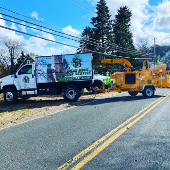 Image for Spear Bro's Tree Service with ID of: 5744420