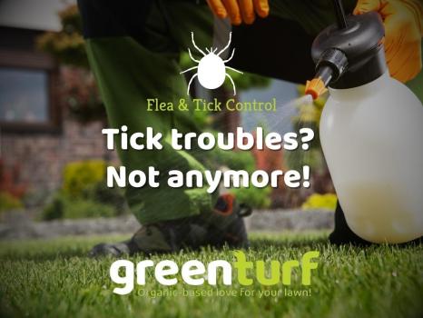 Image for GreenTurf with ID of: 5747602