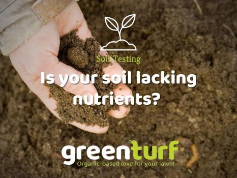 Image for GreenTurf with ID of: 5747604