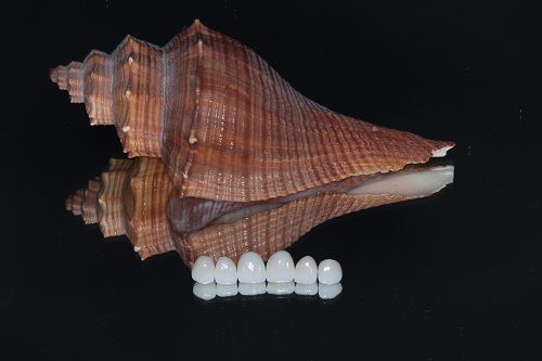 Image for Forestwood Dentistry with ID of: 5748375