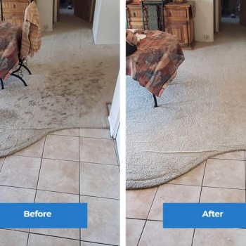 Image for SPA Carpet Cleaning LLC with ID of: 5749984