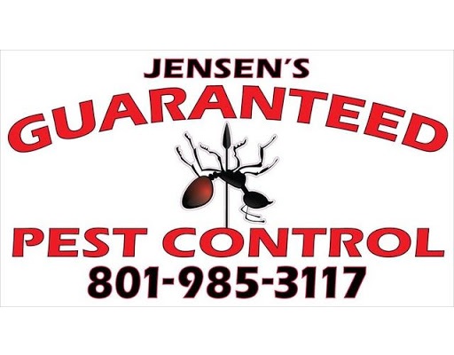 Image for Jensen's Guaranteed Pest Control with ID of: 5752039