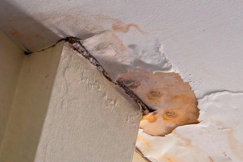 Image for Johnson County Top Notch Mold Experts with ID of: 5752109