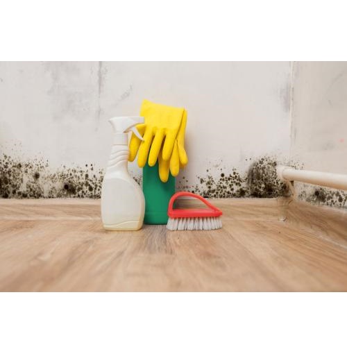 Image for Sutter County Mold with ID of: 5752772