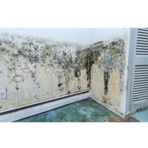 Image for Sutter County Mold with ID of: 5752773