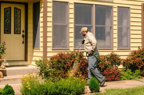 Image for Beaver Lake Pest Control with ID of: 5754497