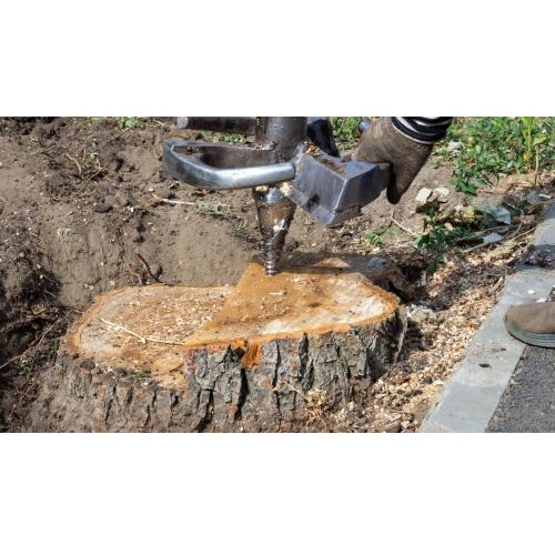 Image for Longtucky Tree Service with ID of: 5754613