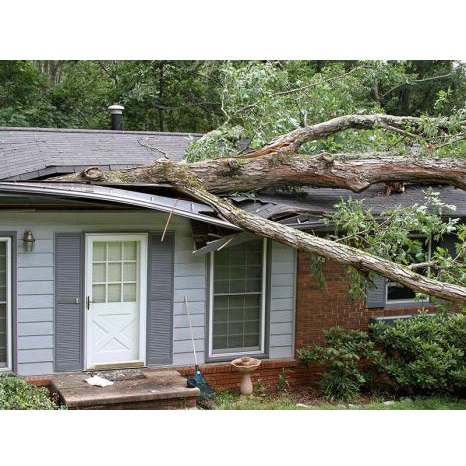 Image for Abbott Roofing Company with ID of: 5755064