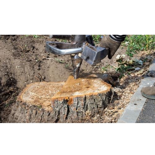 Image for Shoshoni Tree Service with ID of: 5756859