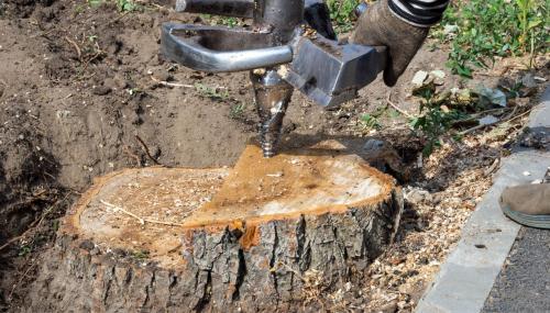 Image for Founding County Tree Removal Co with ID of: 5757106