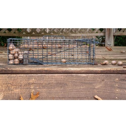 Image for Swift Fox Wildlife Control Experts with ID of: 5757265
