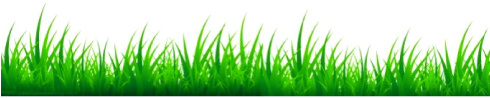 Image for Beards Lawncare & Landscaping LLC with ID of: 5759552
