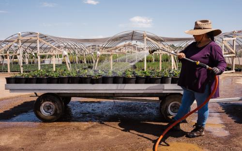 Image for Arbor Valley Nursery with ID of: 5764974