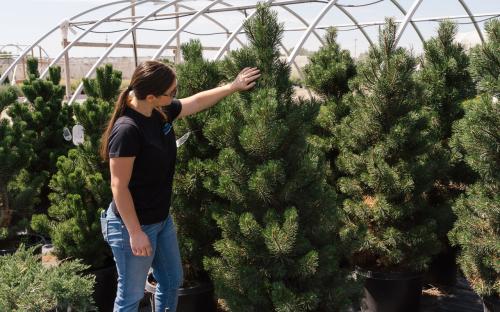 Image for Arbor Valley Nursery with ID of: 5764975