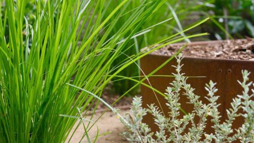 Image for The Urban Garden Co with ID of: 5767729