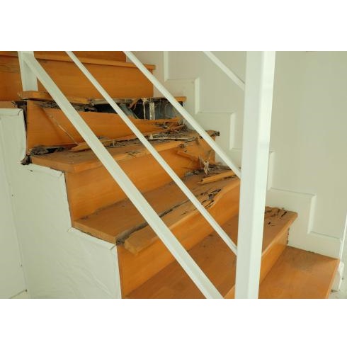 Image for Golf Coast Termite Removal Experts with ID of: 5771191